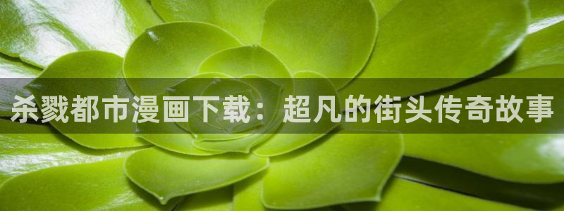 歪歪漫画在线阅读页面免费：杀戮都市漫画下载：超凡的街头传奇故事