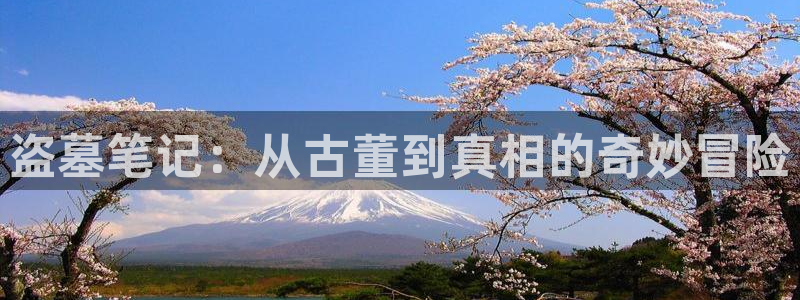 歪歪漫画漫画在线免费观看：盗墓笔记：从古董到真相的奇妙冒险