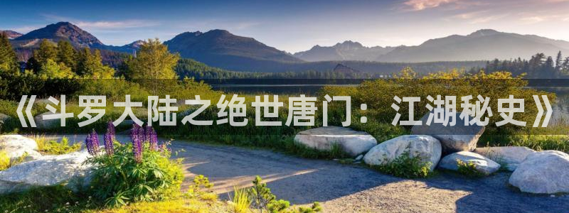 歪歪漫画网页免费：《斗罗大陆之绝世唐门：江湖秘史》