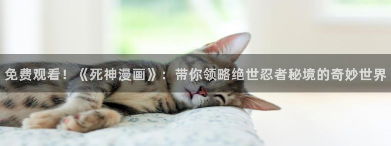 歪歪漫画日：免费观看！《死神漫画》：带你领略绝世忍者秘境的奇妙世界