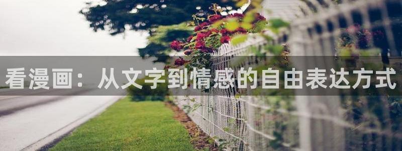 歪歪漫画免费漫画免费观看：看漫画：从文字到情感的自由表达方式