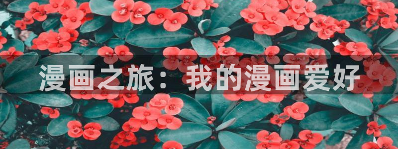 歪歪漫画网上：漫画之旅：我的漫画爱好